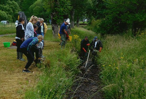 Photo : pêche électrique d'inventaire dans le ruisseau des Goudiots avec les élèves, 7 juin 2022