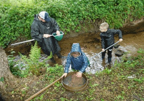 Photo : des élèves récoltent des invertébrés aquatiques dans le ruisseau, 12 mai 2025