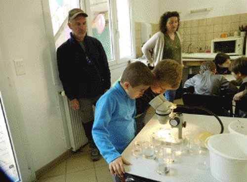 Photo : des élèves observent les invertébrés à la loupe binoculaire en classe, 12 mai 2025