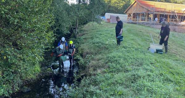 Pêche de sauvetage sur le canal de la Hallière