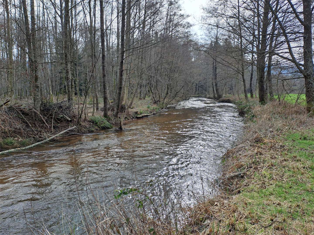 Photo de La Plaine en amont du Lac de La Plaine