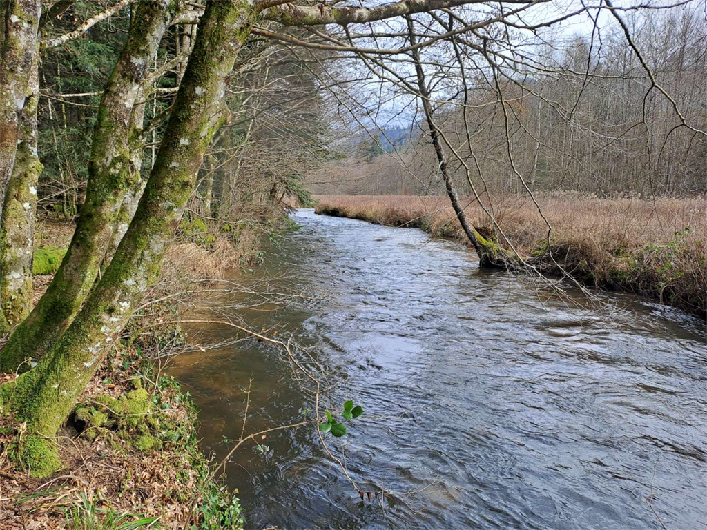 Photo de La Plaine en aval du Lac de La Plaine et de la moyenne Meurthe