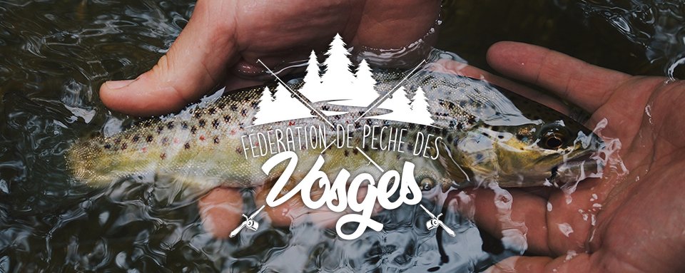 Fédération de Pêche des Vosges