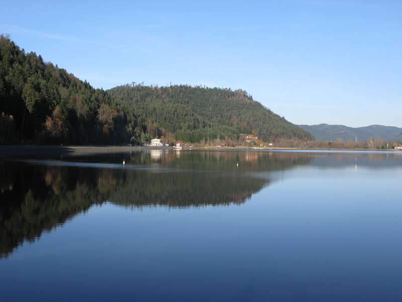 Le Lac de La Plaine, plan d'eau entouré de forêt