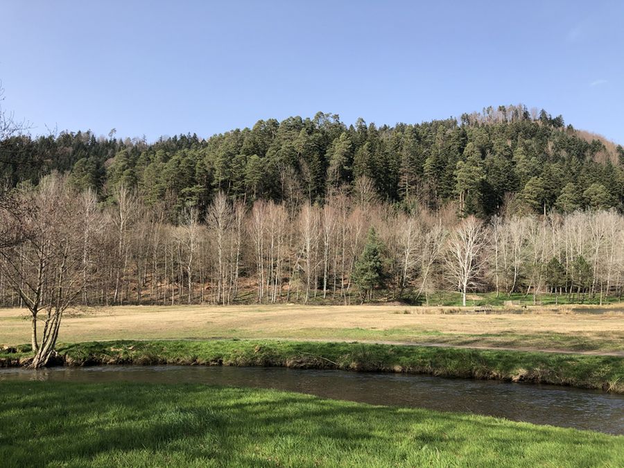 La Plaine en amont du Lac de La Plaine, parcours labellisé Pêche Passion