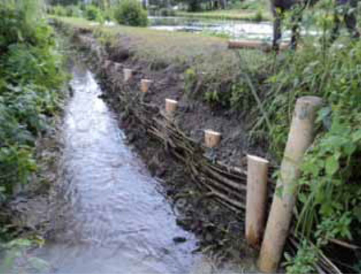 Ruisseau des Hayes de Celles