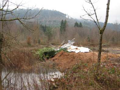 Pollution — décharge sauvage près de la Plaine