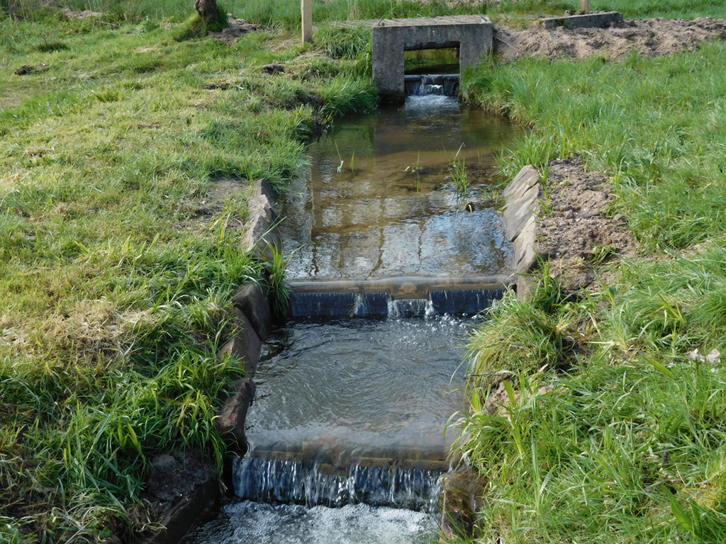 Création d'une passe à poissons sur le ruisseau de La Seppe au Niérupt