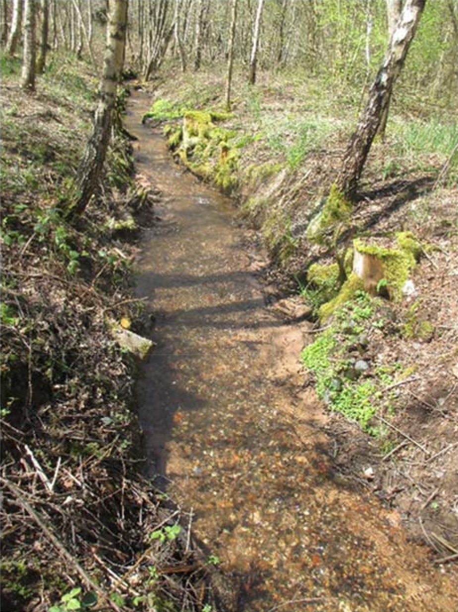 Restauration du ruisseau de La Seppe à Celles-sur-Plaine