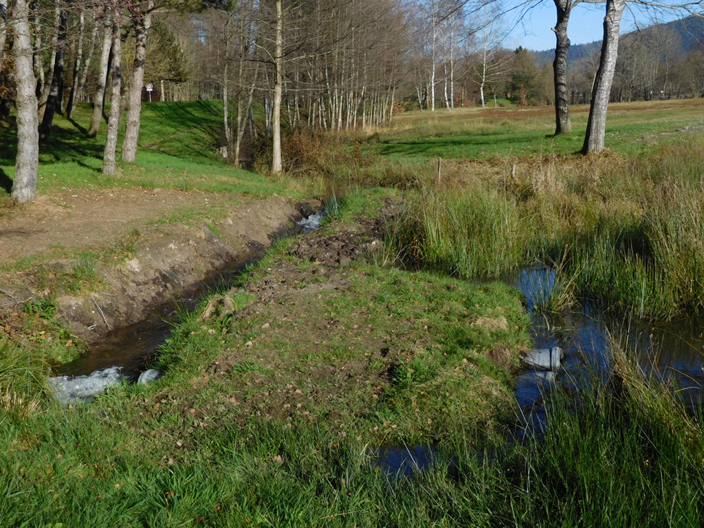 Travaux sur l'étang de Para