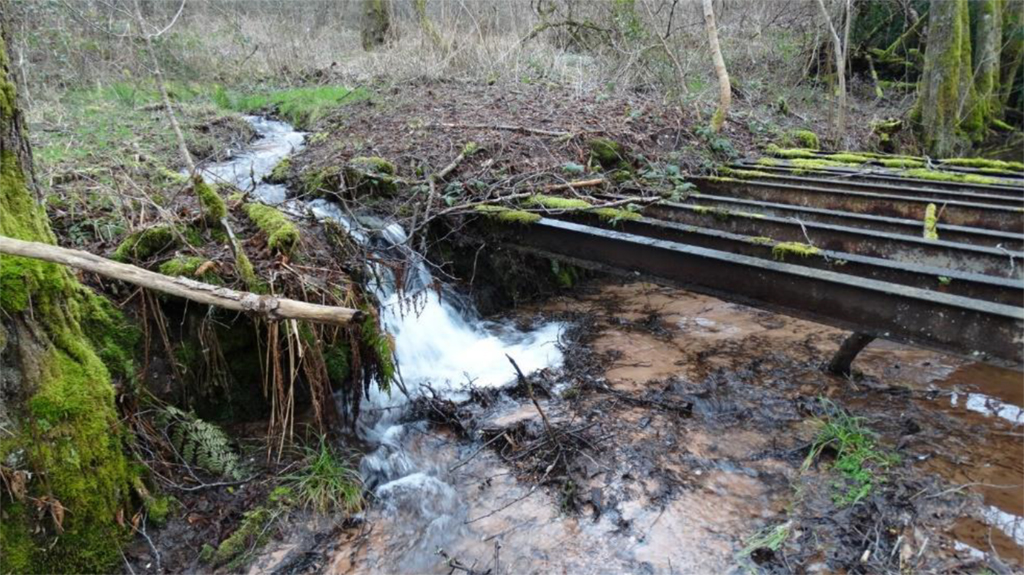Ruisseau de la Fauvette avant travaux