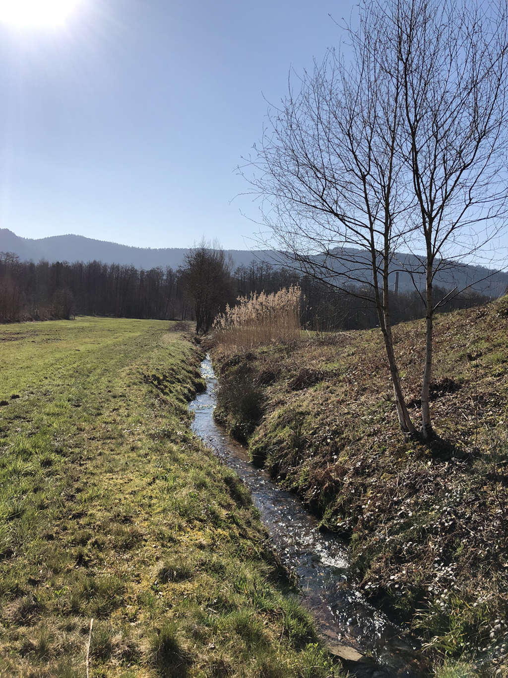 Bilan des travaux 2019
