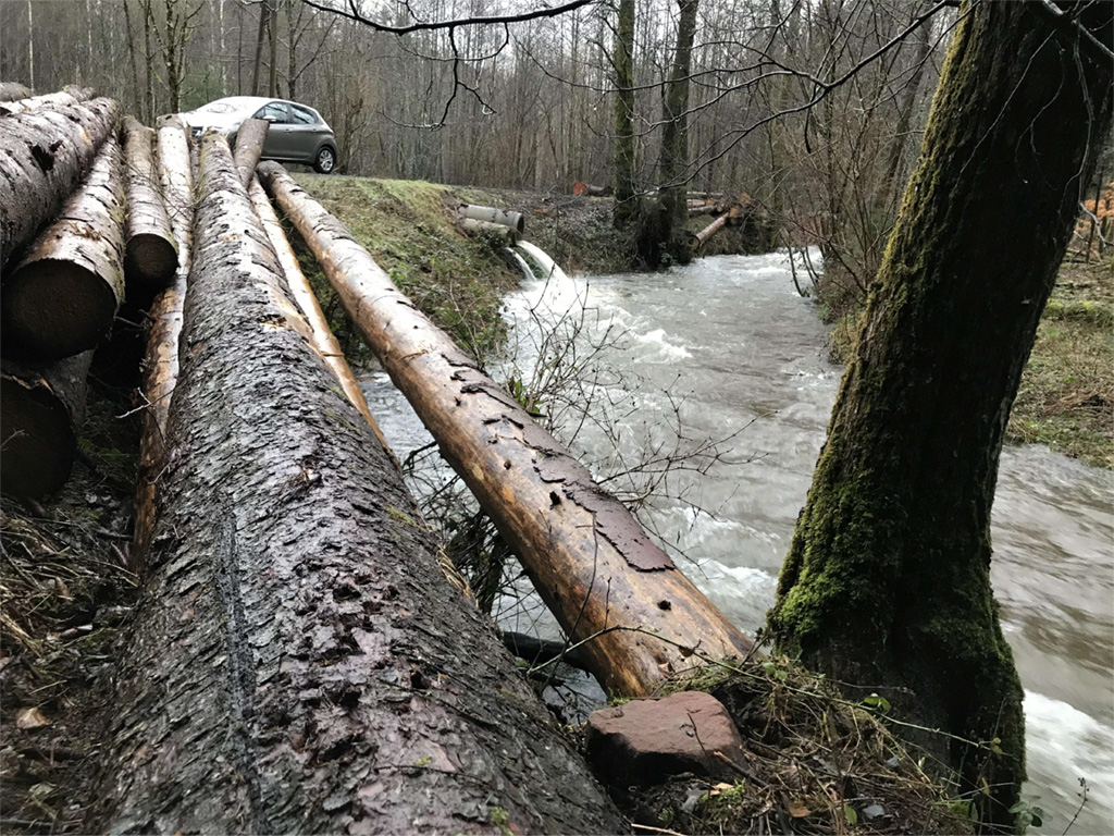 Rétablissement de la continuité écologique du ruisseau de La Charaille à Raon-lès-Leau